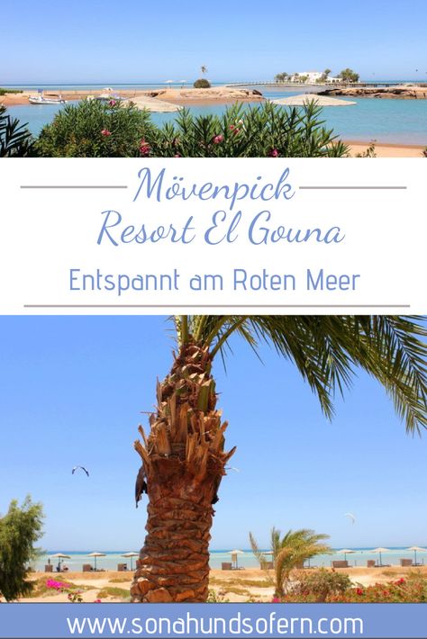 El Gouna am Roten Meer in Ägypten ist ein sehr schöner sicherer Ort mit vielen wunderschönen Resorts, wie dem Mövenpick Resort und Spa El Gouna El Gouna, Egypt Travel, Travel Spots, World Pictures, One Million, North Africa, Travel Lifestyle, Indian Ocean, Luxury Travel