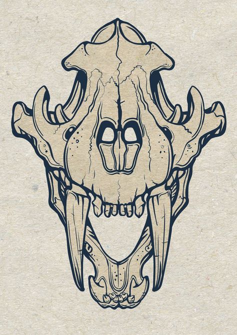 Tiger Skull Tattoo Design, Tiger Skull Reference, Tiger Skeleton Tattoo, Tiger Skull Tattoo, Smilodon Skull, Tiger Skeleton, Animal Skull Drawing, Tiger Skull, Skull Reference