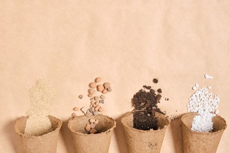 Soil For Plants, Peat Pots, Premium Photo, Fertility, The Garden, Soil, Place Card Holders, Stock Photos, Stone