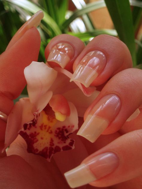 Long Natural Looking Acrylic Nails, Fake Natural Nails, Real Natural Nails, Long Real Nails, Natural Nails Real, Natural Coffin Nails, Real Long Nails, Nails Real, Nail Growth Tips