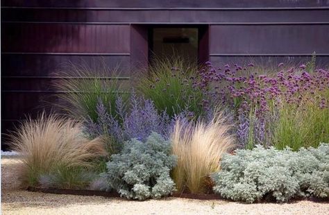 Landscape Design | Native Grasses & Lavender Xeriscape Front Yard, Mediterranean Garden Design, Farmhouse Landscaping, Front Yard Design, Grasses Landscaping, Modern Landscape Design, Grasses Garden, Garden Types, Have Inspiration