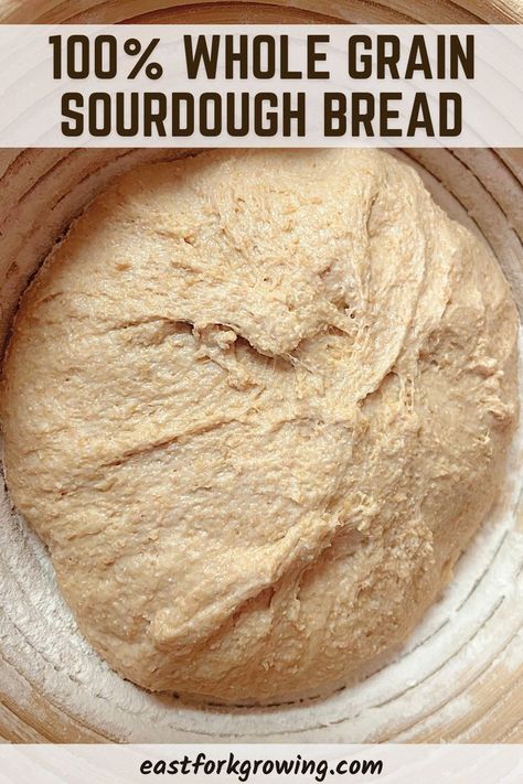 Use these simple tips to make a fluffy, delicious, 100% whole grain sourdough bread. No more bricks. Whole Grain Sourdough Bread Recipe, Wheat Sourdough Bread Recipe, Easiest Bread Recipe No Yeast, Simple Sweet Bread Recipe, Whole Grain Sourdough, Whole Wheat Sourdough Bread, Wheat Sourdough Bread, Whole Wheat Blueberry Muffins, Sprouted Wheat Bread