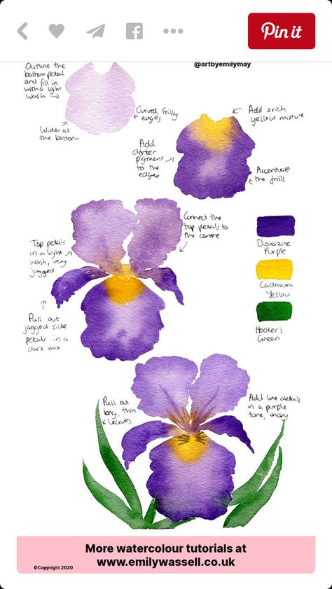 Watercolour Iris, Watercolor Iris, Watercolour Tutorial, Painting Ideas Easy, Learn Watercolor Painting, Iris Painting, Watercolor Flowers Tutorial, Watercolor Beginner, Illustration Simple