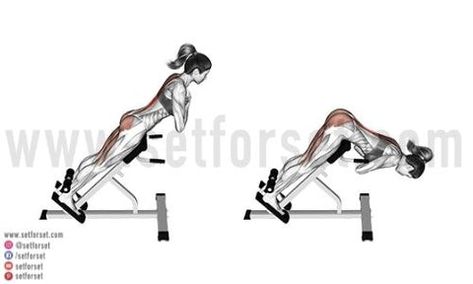 Back Extension Exercises, Extension Exercises, Reverse Hyperextension, Deadlift Variations, Stiff Leg Deadlift, Back Extension, Work Out Routines Gym, Back Extensions, Suspension Trainer