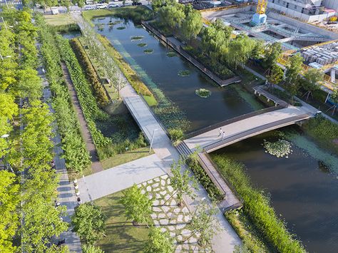 Sponge City, Wetland Park, Linear Park, Pedestrian Walkway, Street Trees, Garden Types, Urban Park, Landscape Services, Rain Garden