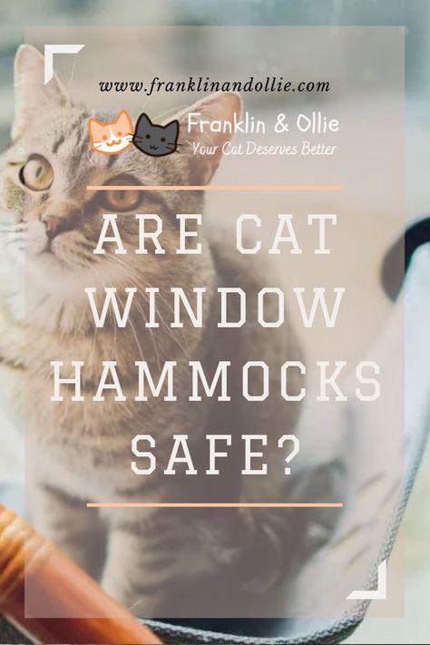 Are Cat Window Hammocks Safe? Hammock Diy, Cat Window Hammock, Tree Furniture, Cat Window, Cat Trees, Cat Hammock, Environmental Factors, Deserve Better, Wellness Routine