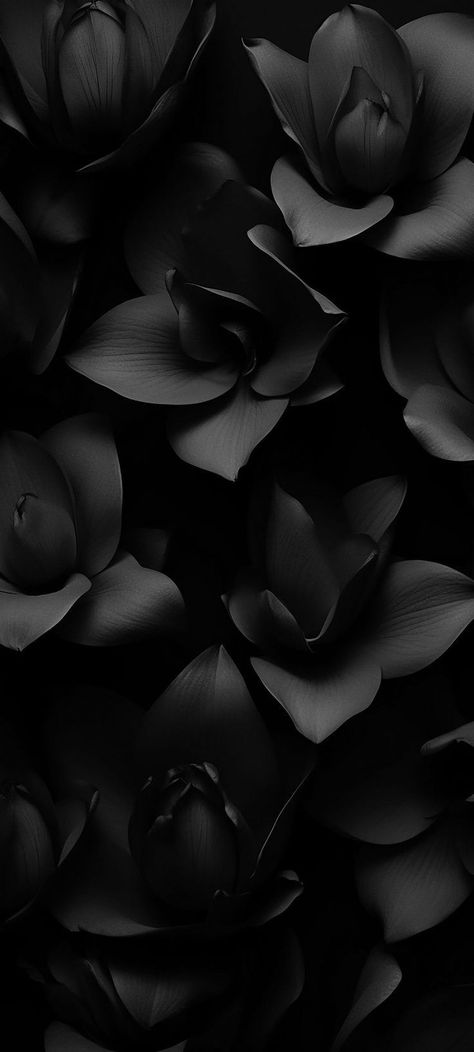 Black Minimalist Wallpaper, Target Wallpaper, Medusa Tattoos, Dark Pics, Dark Minimalist, Typography Wallpaper, Story Backgrounds, Black Hd Wallpaper, Blue Flower Wallpaper