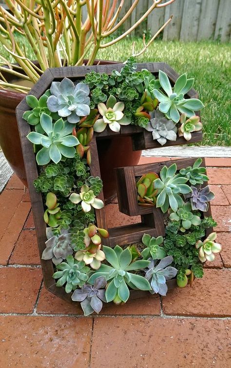 Succulent Letters, Yard Improvement Ideas, Letter Planter, Succulent Species, Diy Shutters, Succulent Gardens, Succulent Gifts, Side Yard, Backyard Makeover