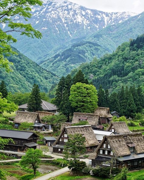 Japan Travel: You may have already heard of the World Heritage listed Shirakawago, but did you... https://www.alojapan.com/395216/japan-travel-you-may-have-already-heard-of-the-world-heritage-listed-shirakawago-but-did-you/ #Travelgoals, #Visitjapan, #Dreamingoftravel, #Dreamnowtravellater, #Ilovejapan, #Japan, #JapanTravel, #Japanfan, #Japangram, #JapanTravel, #Missingjapan, #Missingtravel, #Myjapan, #Toyama, #Toyamajapan, #ToyamaPrefecture, #Traditionaljapan, #Tra Gassho Zukuri, Shirakawago Japan, Ghibli House, Japan Village, Medieval Japan, Japanese Countryside, Background Reference, Remote Location, Nagano Japan