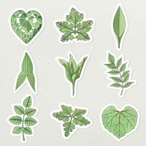 Vintage leaf sticker with white border set design element | premium image by rawpixel.com / Donlaya Green Leaves Sticker Printable, Green Journal Stickers, Vintage Aesthetic Stickers Printables, Leaf Aesthetic, Leaf Stickers, Green Stickers, Leaf Sticker, Bookmarks Diy, Handmade Bookmarks Diy