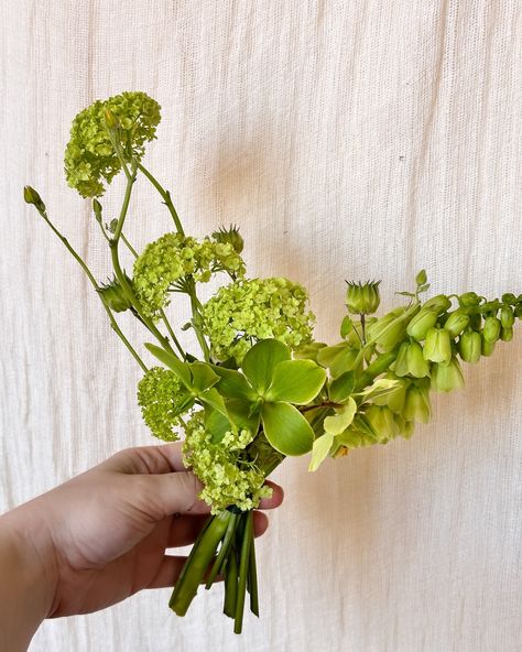 What do you think of monochromatic bouquets? We love it 😍 #florist #floraldesign #monochromatic #green #bridalmakeup #weddinginspiration Green Monochromatic, Whimsy Flowers, Green Monochrome, Bouquet Inspiration, April Wedding, Wedding Mood Board, Wedding Mood, Bridal Makeup, Floral Wedding