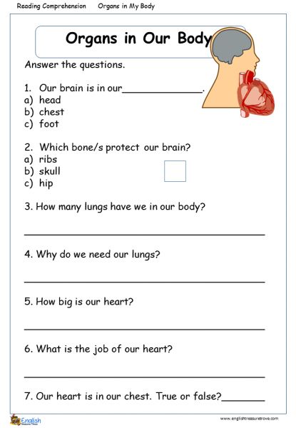 Organs in Our Body English Comprehension Worksheet – English Treasure Trove Body Worksheet, Evs Worksheet, English Comprehension, Homophones Worksheets, Human Body Worksheets, Grammar Notes, Verbo To Be, Human Body Activities, Kindergarten Phonics Worksheets