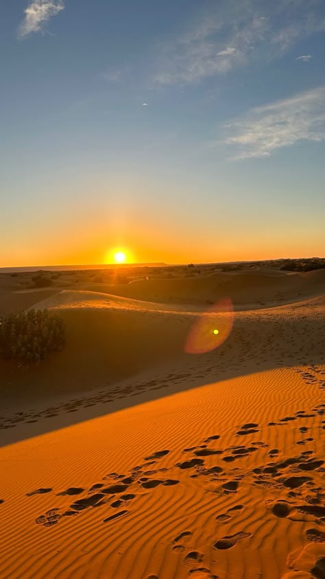 Sunrise desert morocco travel sand Egypt Desert Aesthetic, Sunset In The Desert, Sahara Desert Morocco, Sahara Desert Aesthetic, Arabian Desert Aesthetic, Sunset In Desert, Desert Pics, Arab Desert, Desert Photos