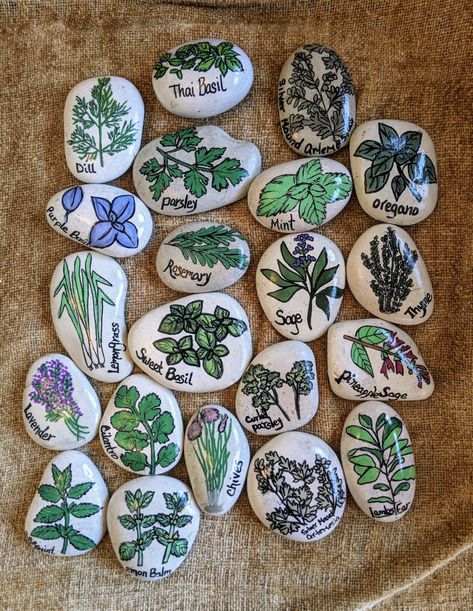 Garden Markers Rock, Rock Tutorial, Vegetable Garden Markers, Herb Garden Markers, Herb Labels, Fruits Decoration, Herb Markers, Stone Plant, Rock Gifts