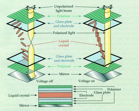 liquid crystal display. #engineeringstudents Nature, Liquid Crystal Display, Liquid Crystal, Crystal Display, Light Beam, Computer Graphics, Digital Signage, Led Tv, Electronics Projects