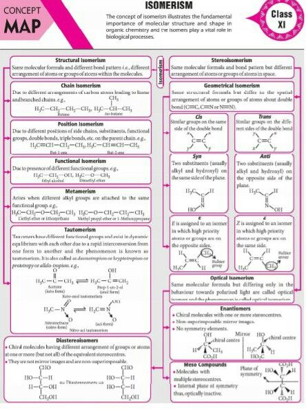 Isomerism Concept map Brain Map, Brain Maps, Organic Chemistry Reactions, Biochemistry Notes, Organic Chemistry Study, Concept Maps, Chemistry Study Guide, 11th Chemistry, Chemistry Basics