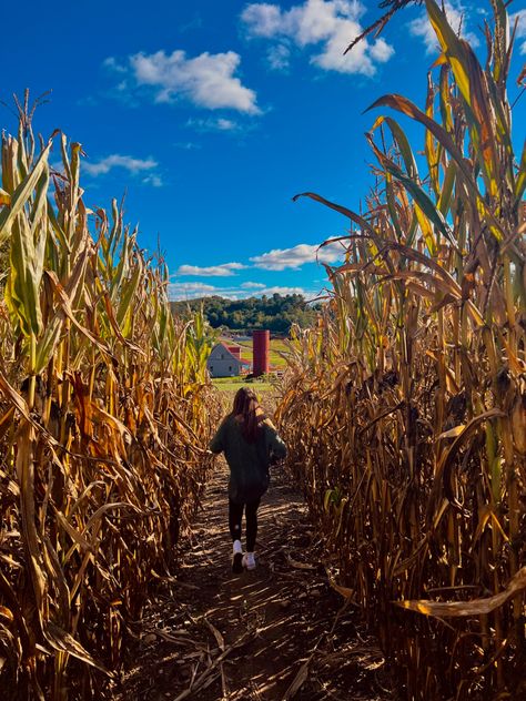 Corn Maze Fall, Halloween Corn Maze, Fall Carnival Aesthetic, Fall Date Ideas Aesthetic, Corn Maze Date, Hayride Aesthetic, Fall Festival Aesthetic, Indoor Fall Activities, Corn Maze Aesthetic