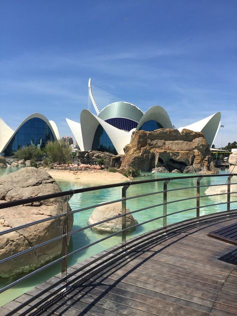 Valencia Aquarium, Oscar Niemeyer Architecture, Spain Valencia, Valencia City, Travel Picture Ideas, Spanish Culture, Santiago Calatrava, Valencia Spain, Coastal Towns