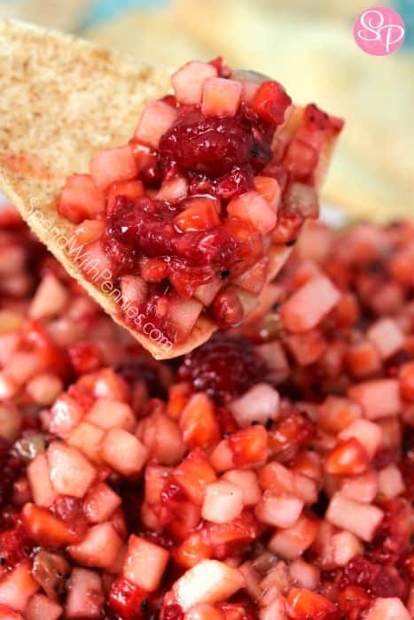 Fruit Salsa with Cinnamon Crisps Cinnamon Crisps, Fruit Salsa Recipe, Strawberry Salsa, Delicious Appetizer Recipes, Best Appetizer Recipes, Cinnamon Chips, Fruit Salsa, Body Detox, Salsa Recipe