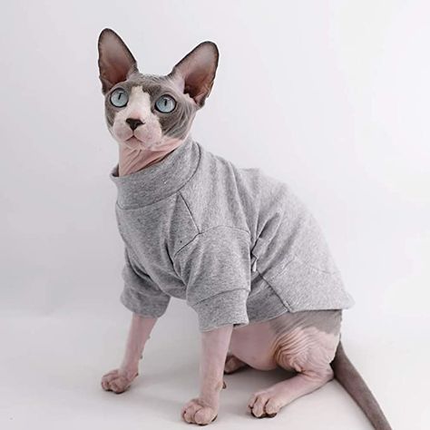 Amazon.com : Sphynx Hairless Cat Cotton Tshirts Pet Clothes, Pullover Kitten T-Shirts with Sleeves, Cats & Small Dogs Apparel Solid Color : Pet Supplies Cat Supplies, Devon Rex, Devon Rex Cats, Cat Body, Cornish Rex, Rex Cat, Hairless Cat, Sphynx Cat, Crazy Dog