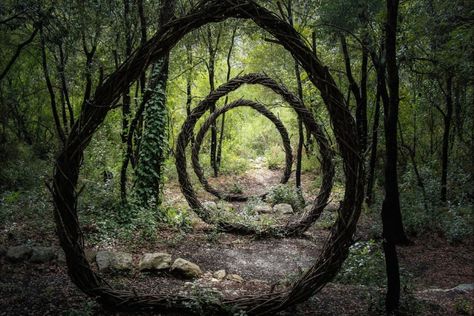 Organic Sculpture, Have Inspiration, Earth Art, Forest Art, Deep Forest, Outdoor Art, Land Art, Environmental Art, Enchanted Forest