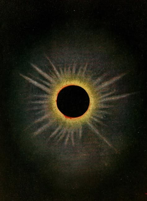 Sun Aesthetic Art, The Sun Aesthetic, Eclipse Tattoo, Eclipses Art, Eclipse Solar, Total Eclipse, Hubble Space Telescope, Arte Inspo, Astronomer