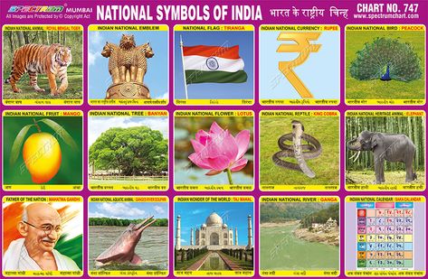 National Symbols Of India, Tiranga Flag, Indian Symbols, India For Kids, Gk Knowledge, Printable Preschool Worksheets, National Animal, Flashcards For Kids, General Knowledge Book