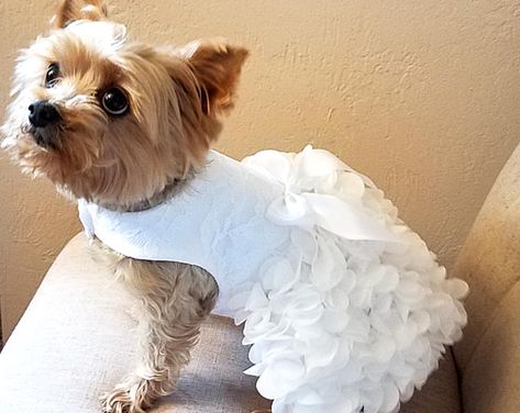 Etsy :: Your place to buy and sell all things handmade Dog Wedding Outfits, Dog Wedding Attire, Dog Wedding Dress, Robes D'occasion, Puppy Dress, Dog Clothes Patterns, Wedding Pets, Dog Dress, Pet Dress