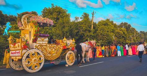 Horse carriage for Indian wedding Horse Buggy, Indian Horses, Horse And Buggy, Horse Carriage, Indian Wedding, Monster Trucks, Horses, Quick Saves