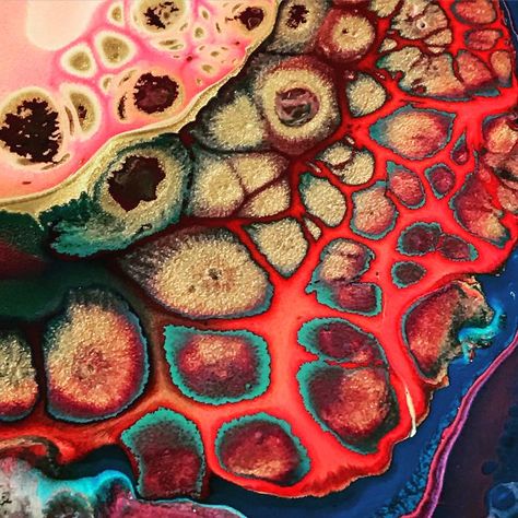 “Cell Paintings” Created With Acrylic | Bored Panda Cells Textiles, Cell Artwork, Cell Photography, Earth Eyes, Cell Painting, Cells Art, Cell Art, Microscopic Photography, Rahul Mishra