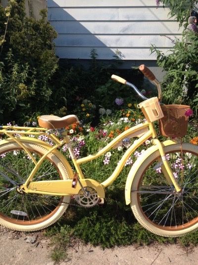 LA DESEOOOO. Bike Aesthetic Vintage, Alyssa Core Aesthetic, Paige + Core + Aesthetic, Grace + Core + Aesthetic, Bicycle Aesthetic, Beach Mountain, Blue Sargent, Bike With Basket, Bike Aesthetic