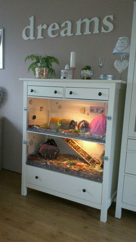 Beautiful home made guineapig cage - the chest of drawers is from ikea, hemnes range - 6 drawer chest of drawers Diy Hamster Cage From Dresser, Hedge Hog Cage Ideas, Ferret House Ideas, Hedgehog Homes Ideas, Degu Cage Ideas, Diy Hedgehog Cage, Hedgehog Enclosure, Ferret Cage Ideas, Hedgehog Cages