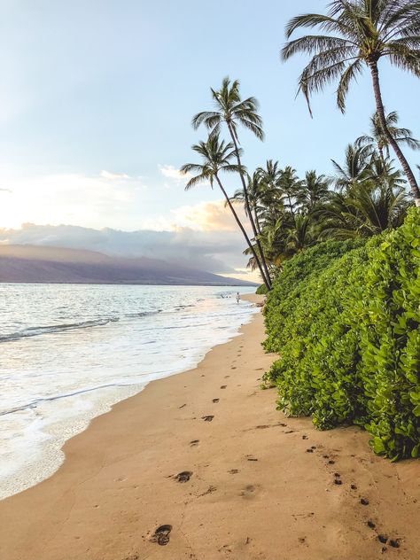 Thanks to Neora Aylon for making this photo available freely on @unsplash 🎁 Maui Pictures, Haleakala Sunrise, Pride Of America, Kaanapali Beach, Hawaii Pictures, Maui Beach, Visit Hawaii, Summer Destinations, Maui Hawaii