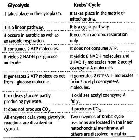 Biochem Notes, Respiration In Plants, Cell Biology Notes, Class 11 Notes, Notes Biology, Class 11 Biology, Biochemistry Notes, Neet Notes, Learn Biology