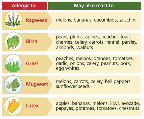 Why you shouldn't eat apples (and other foods) during allergy season – FC&A Store Grass Allergy, Dust Mite Allergy, White Melon, Allergy Season, Canned Fruits, Pollen Allergies, Asthma Symptoms, Itchy Eyes, Snow White And The Seven Dwarfs