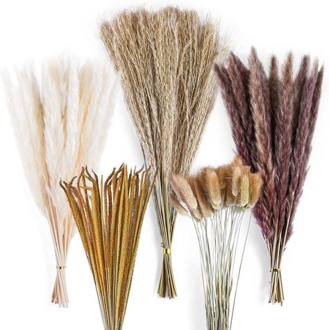 120Pcs Natural Pampas Grass - These dried pampas grass is made from 100% natural pompus grass with original natural touch and harmless. Unlike fresh flower arrangements, no maintenance needed once you put them in vases. These soft and fluffy boho pampass grass will blend perfect in any home decor style. we use high strength carton packaging, will not bend damage, so that the product maintains a good appearance. Dried Pampas Grass Decor, Pampas Grass Vase, Pampas Grass Bouquet, Dried Pampas, Grass Decor, Pampas Grass Decor, Bunny Tails, Fall Bridal Shower, Dry Plants