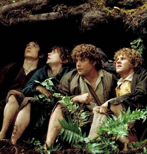 Hobbit Costume, Merry And Pippin, Concerning Hobbits, Frodo Baggins, Bilbo Baggins, The Shire, Fellowship Of The Ring, Jrr Tolkien, Gandalf