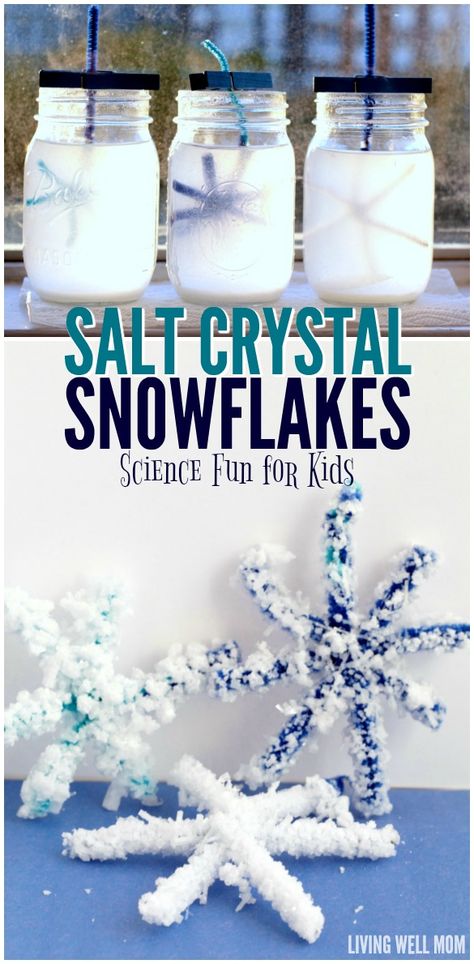 Your kids will LOVE making these salt crystal snowflakes! As an added bonus, they will learn important observation and science skills in this simple STEM activity. Salt Crystal Snowflakes, Snowflakes Science, Simple Stem Activities, Vetenskapliga Experiment, Winter Stem, Easy Science Projects, Winter Science, January Crafts, Kid Science