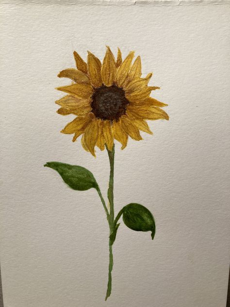 watercolor and colored pencil sunflower Sunflower Drawing Pencil, Drawing Pencil Color, Watercolor And Colored Pencil, Sunflower Drawing, Sunflower Colors, Drawing Color, Drawing Pencil, Drawing Inspo, Color Pencil Drawing