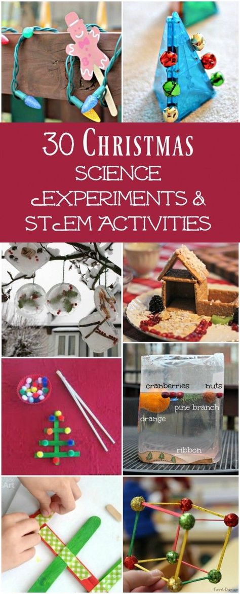 30 Christmas Science Experiments & Activities for Preschool to Middle School Kids #christmas #scienceforkids Christmas Stem Activities, Christmas Science Experiments, Stem Activities Preschool, Christmas Science, Stem Activities For Kids, Christmas Stem, Holiday Activities For Kids, Stem Ideas, Kid Experiments