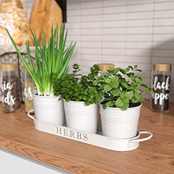 Window Herbs, Herb Window, Herb Kitchen, Affordable Farmhouse Decor, Windowsill Plants, Herb Garden Pots, Herb Garden Planter, Herb Garden In Kitchen, Kitchen Plants