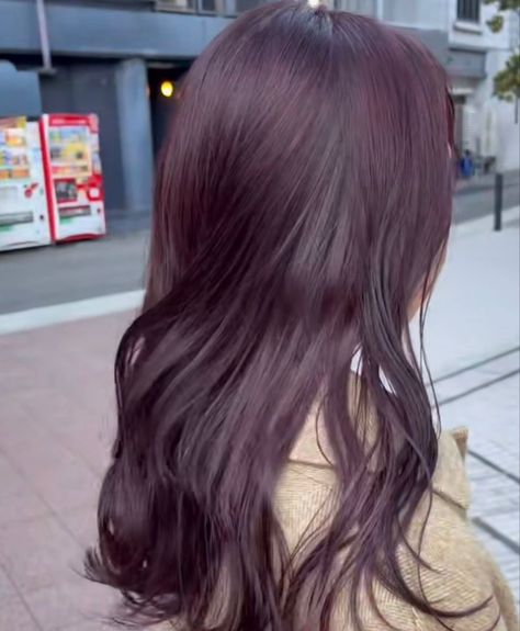 Cool Plum Hair Color, Cute Hair Colors For Brown Hair, Global Grape Hair, Cassis Purple Hair, Violet Dark Hair, Korean Hair Color Purple, Dark Plum Purple Hair, Violet Hair Colors Purple, Cool Toned Purple Hair