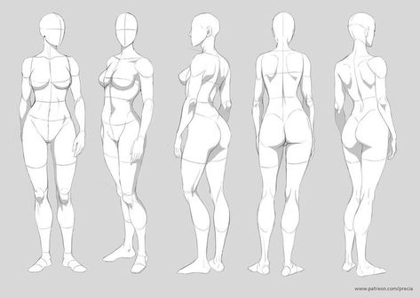 Figure Drawing Female, Male Figure Drawing, Drawing Female Body, Character Design Cartoon, Body Sketches, Human Figure Drawing, Anatomy For Artists, Female Anatomy, Poses References