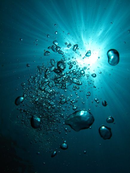 Bubbles Underwater, Sea Bubbles, Underwater Bubbles, Diving Photos, Blue Bubbles, Community Website, Water Aesthetic, Pinterest App, Scuba Dive