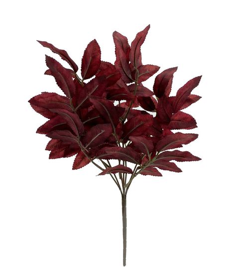 Bring the Beauty of Fall Indoors with the 15" Fall Beech Leaves Bush by Bloom RoomAdd a touch of autumn to your home decor with the 15" Fall Beech Leaves Bush by Bloom Room This stunning decorative piece features lifelike beech leaves in vibrant fall colors that will add warmth and charm to any room in your home Whether you're looking to spruce up your living room, dining room, or bedroom, this beautiful bush is sure to make a statementMade from materials, including polyester, PE, and iron wire, Burgundy Fall Decor, Green Fall Decor, Red Eucalyptus, Beech Leaves, Purple Leaves, Decor 2024, Iron Wire, Joanns Fabric And Crafts, Craft Stores