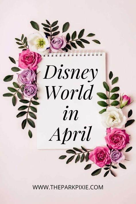 April Disney Outfits, Disney Guide, Walt Disney World Outfits, Tips For Disney World, Magic Kingdom Outfit, April Vacation, Packing List For Disney, Disney World Packing, Disney Outfits Women