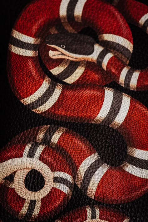 Gucci Snake Bag, Gucci Wallpaper Iphone, Gucci Wallpaper, Hard Images, Gucci Snake, Hypebeast Iphone Wallpaper, Gucci Pattern, Snake Wallpaper, Hype Wallpaper