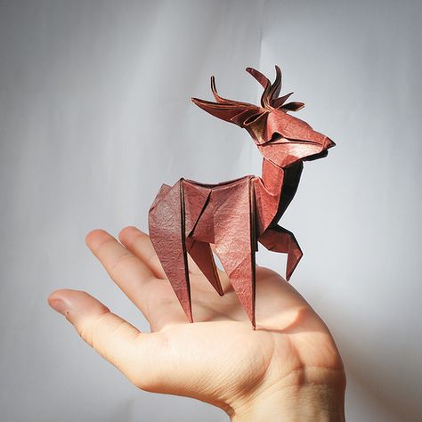 Young deer origami (Riccardo Foschi) | The inspiration of th… | Flickr Deer Origami, Origami Hard, Dragon Origami, Origami Animal, Origami Yoda, Origami Star Box, Origami And Quilling, Cute Origami, Origami Dragon