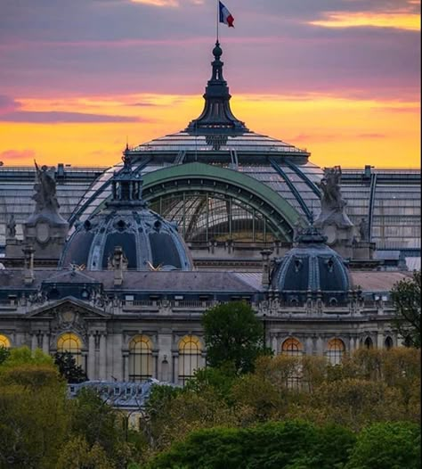 Grand Palais Paris, Inside And Outside, Grand Palais, Taj Mahal, The Outsiders, Instagram Profile, Paris, House Styles, Building