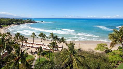 Mauna Kea Resort | Mauna Kea Beach Hotel, Autograph Collection Mauna Lani Resort, Kahala Resort Hawaii, Keyonna Beach Resort Antigua, Hawaii Ideas, Wailea Beach Resort Maui, Mauna Kea Beach Hotel, Mauna Kea, Marriott Bonvoy, Beach Hotel